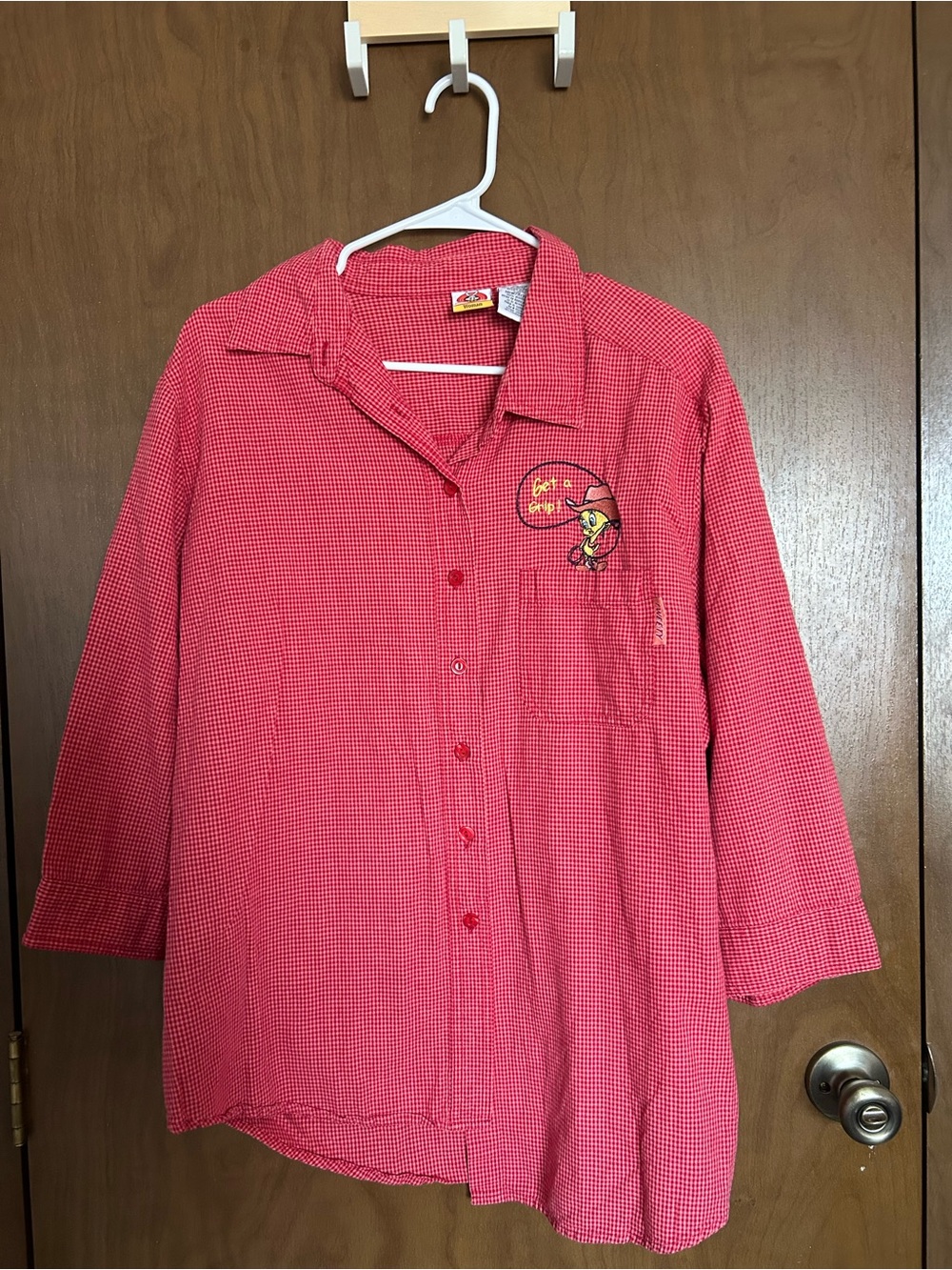 Women’s Red Gingham Button-Down Shirt with Embroidered Detail